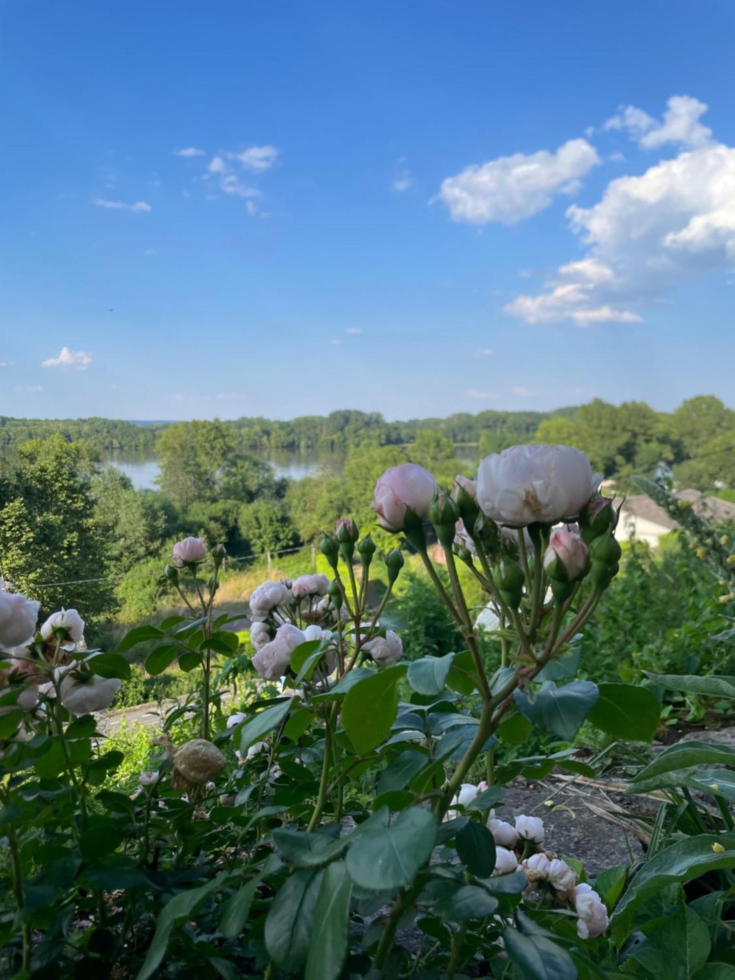 Des Perreyeurs - Maison Troglodyte Avec Vue Sur Loire Hébergement de vacances Montsoreau